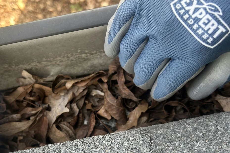 Gutter Cleaning Dickinson, TX